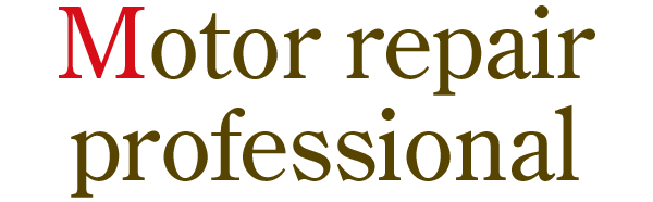 Motor repair professional